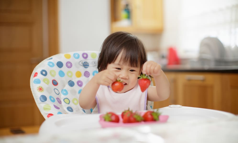 Les Feculents Pour Bebe Babyboom