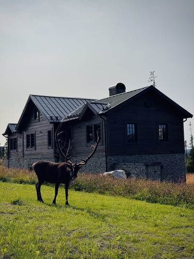 Storhogna - Solsidan bild 4