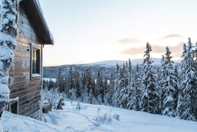 Lofsdalen bild 9