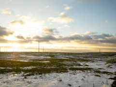 Цены на землю в Подмосковье продолжают расти