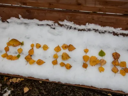 Понимание комплексных кадастровых работ