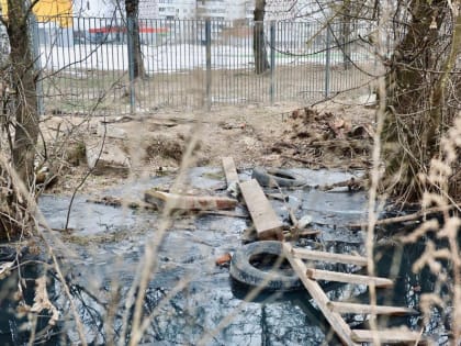 Объезд Павловского Посада и сельских территорий