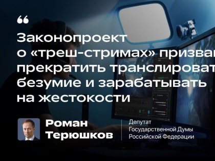 Роман Терюшков: «Законопроект о «треш-стримах» призван прекратить безумие и зарабатывать на жестокости»