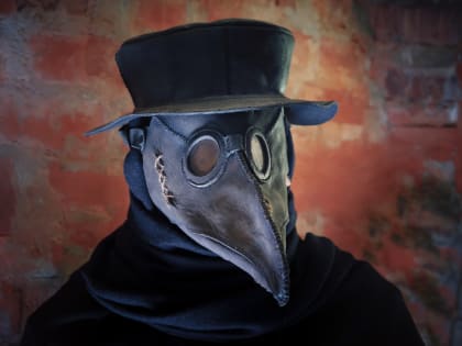 Стало известно о рисках распространения чумы в России