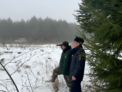 Зарайские лесничие защитили елки от вырубки в праздничные выходные!