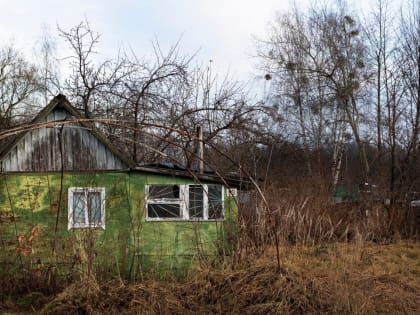 Заброшенные земельные участки выявляют в Городском округе Коломна