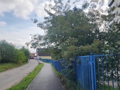 Новые инициативы в области здравоохранения