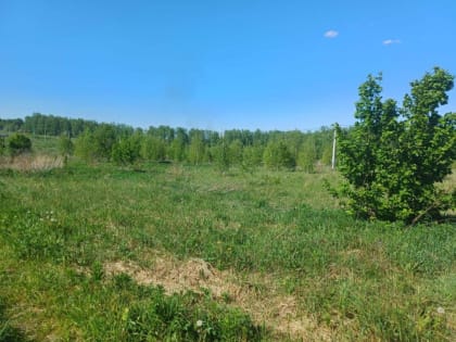 Экономические изменения в Московской области
