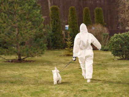 Врачи рекомендуют туристам обратить внимание на рост заболеваемости лихорадкой Денге зарубежом