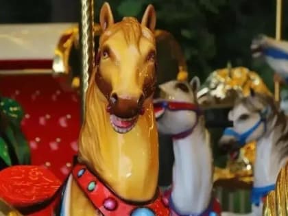 Карусель в Одинцово вошла в тройку самых посещаемых в Подмосковье