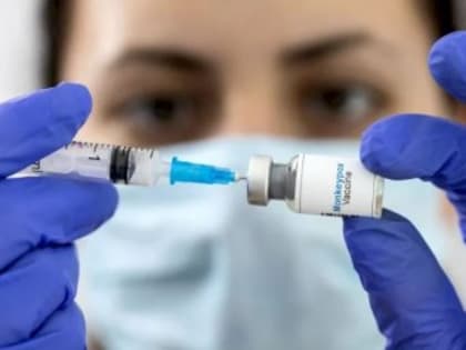 Домодедовца с подозрением на обезьянью оспу изолировали в инфекционном отделении