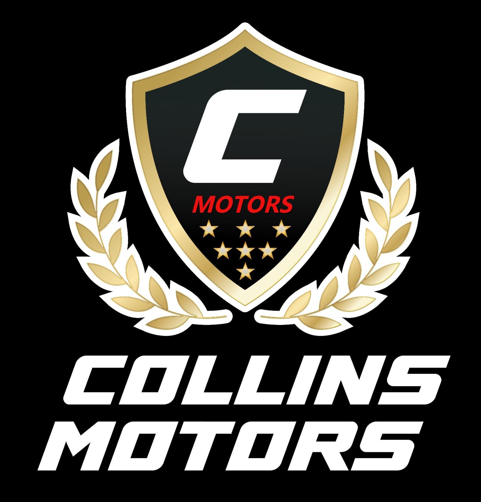 MV MOTORS