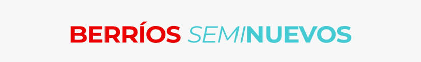 SEMINUEVOS BERRIOS