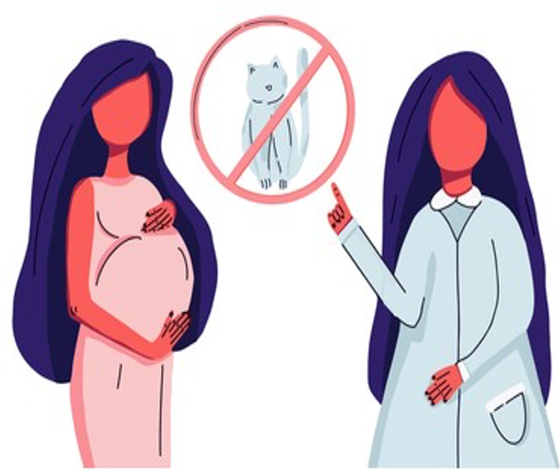 How to prevent toxoplasmosis?