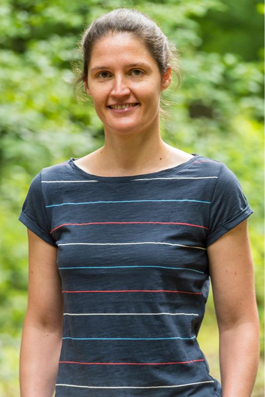 terrestrial-assemblage/feature/Melanie_bjnegc