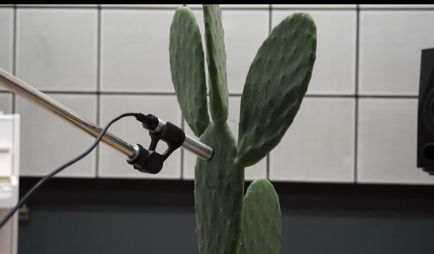 terrestrial-assemblage/feature/Shira_Wachsmann_b8ske3