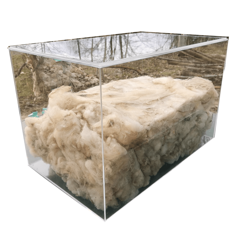 terrestrial-assemblage/feature/Folke_Koebberling_ezyws7