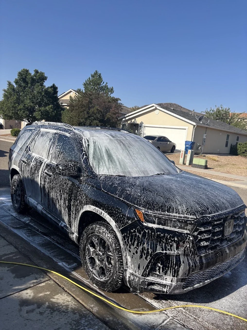 Mobile car detailing service