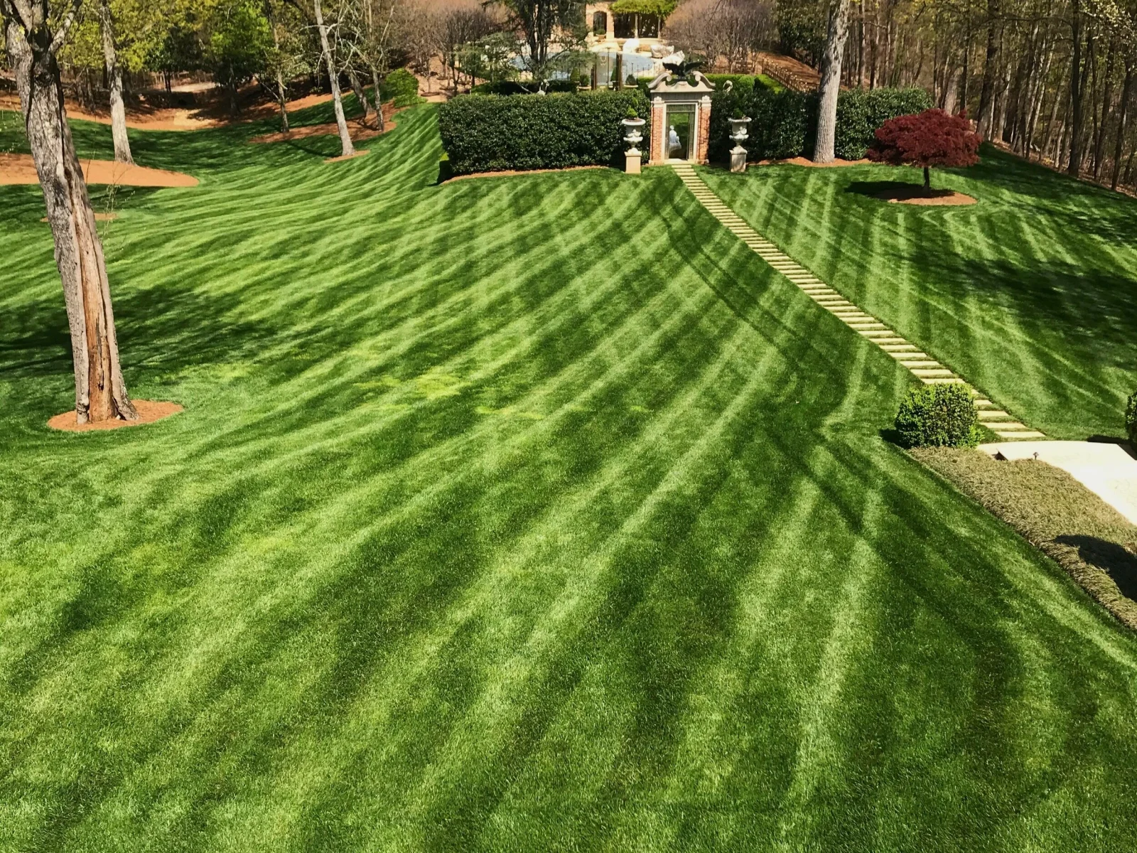 Striped estate lawn with clipped hedges and mature trees