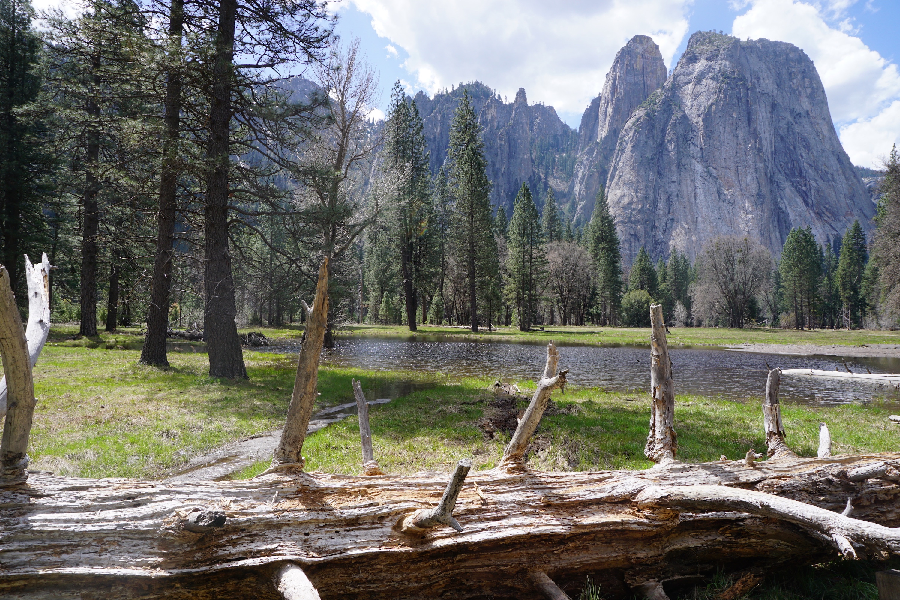 تکنولوژی وطبیعت