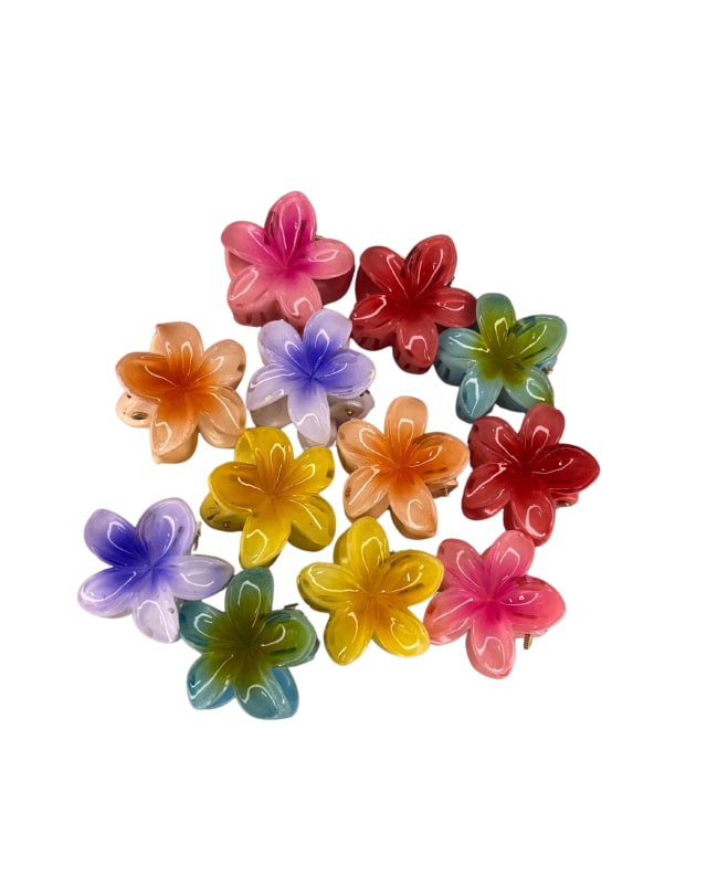 Pinza hawaiana bicolor  mini - Creaciones Vinanti