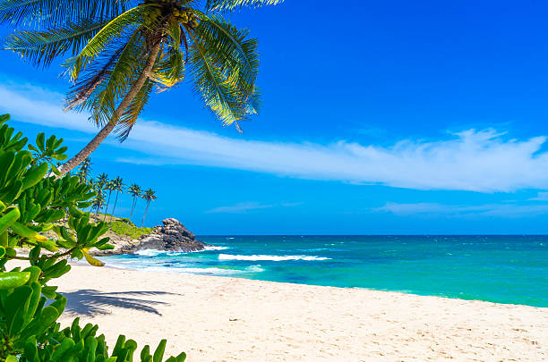 3 Days Yala National Park & Unawatuna Beach Tour