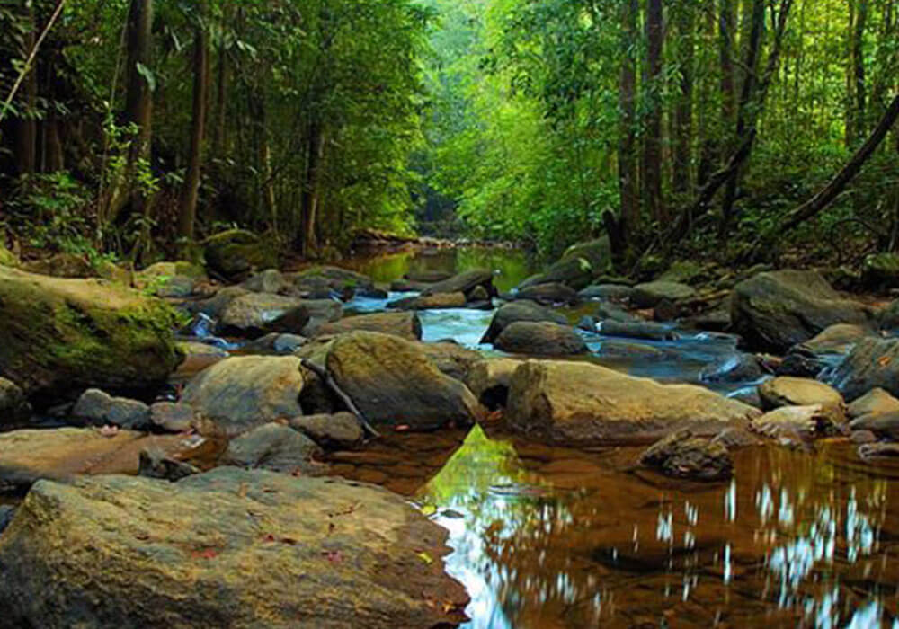 3 Days Sinharaja Rainforest & Bentota Beach Tour
