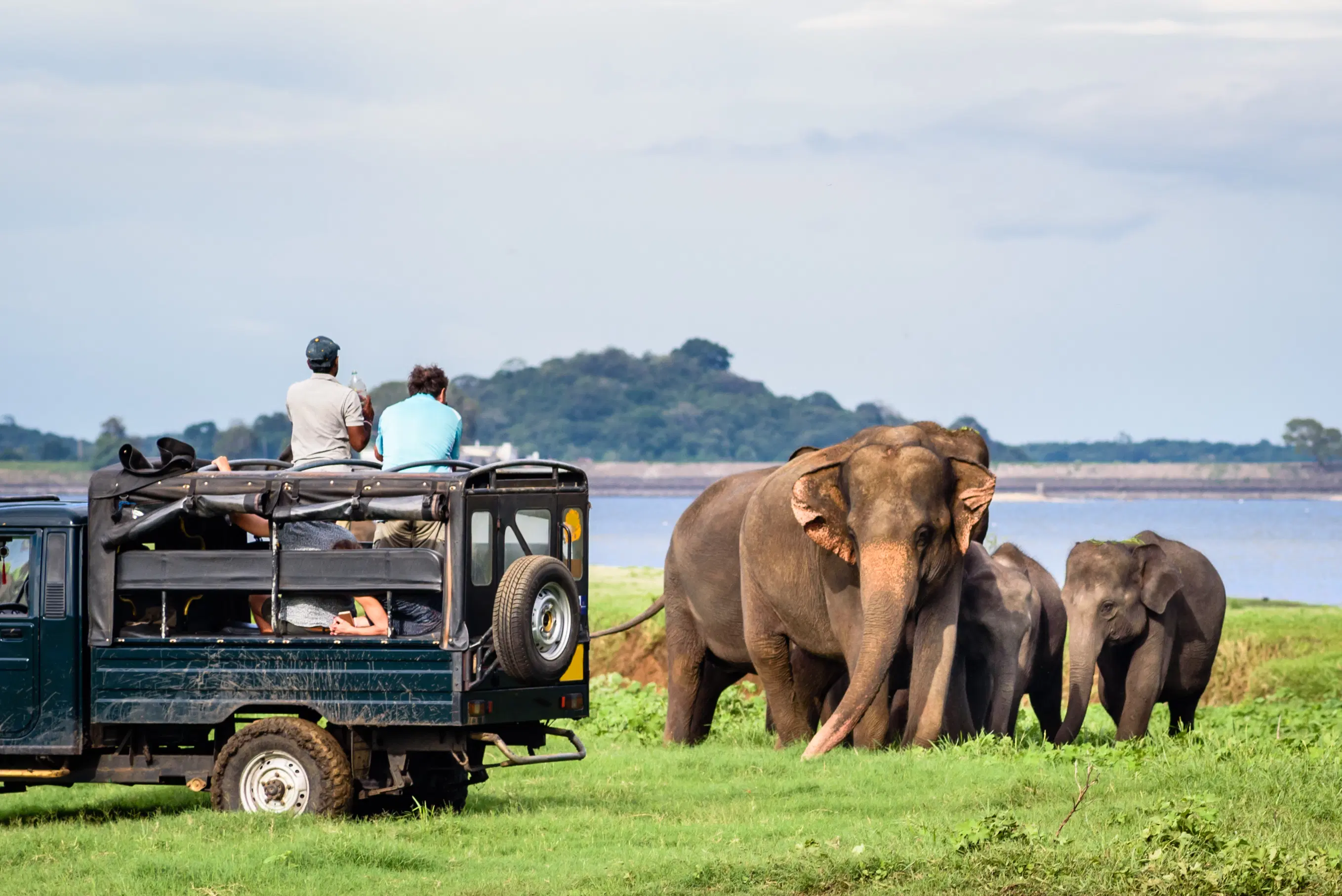 Eco Tours Sri Lanka - 8 Days