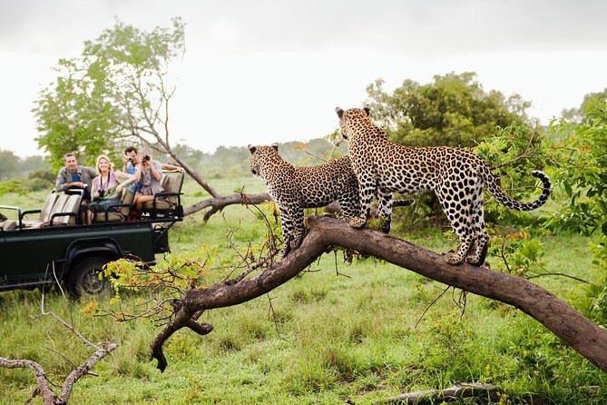 Tropical Wildlife and Adventure Escape – 10 Days