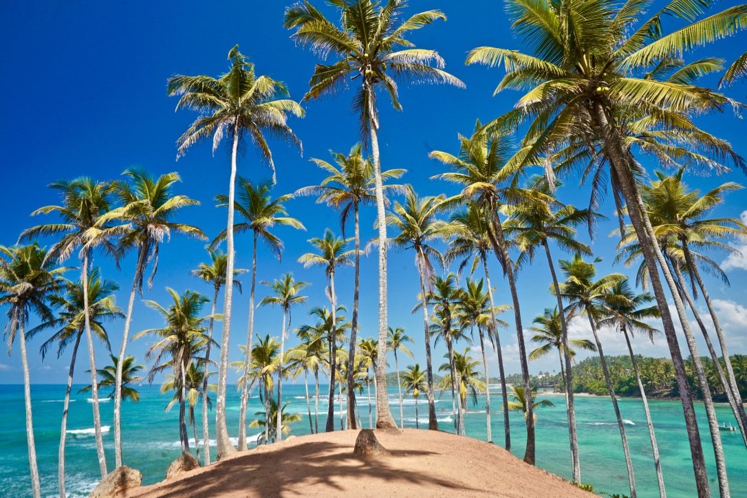 Tropical Wildlife and Adventure Escape – 10 Days