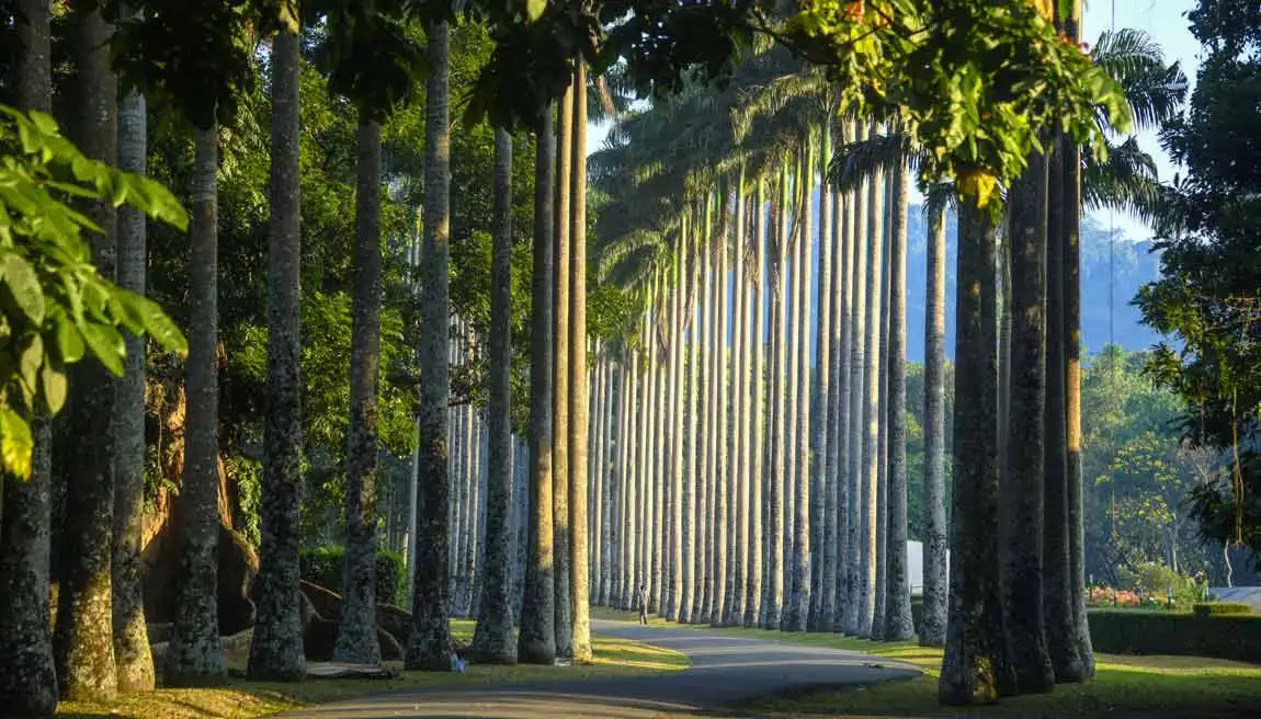 Family-Friendly Discovery Tour – 12 Days