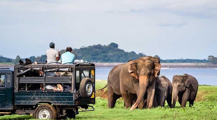 Hurulu Eco Park Jeep Safari