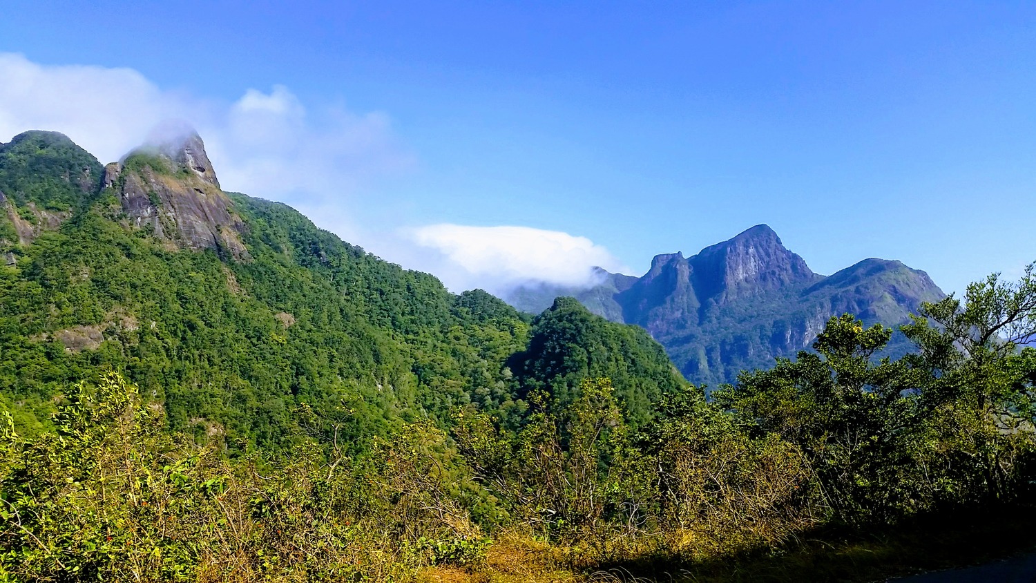 Knuckles Mountain Range 