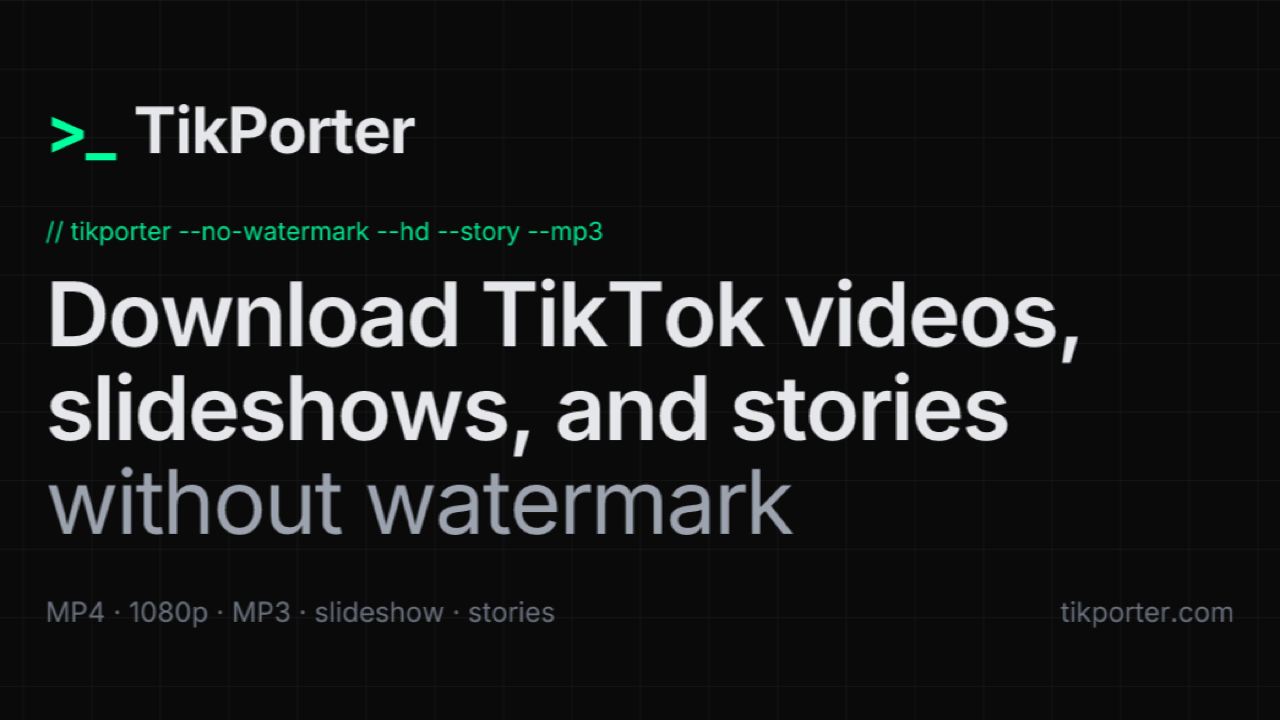 TikPorter screenshot
