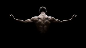muscle mass health longevity
