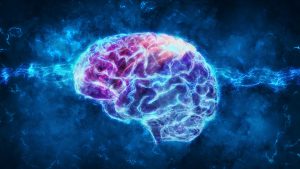 brain health optimization strategies
