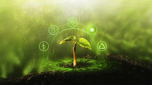 regenerative agriculture
