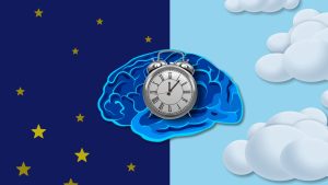 circadian rhythms health
