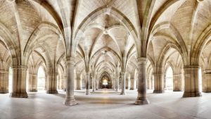 pillars of health and vitality
