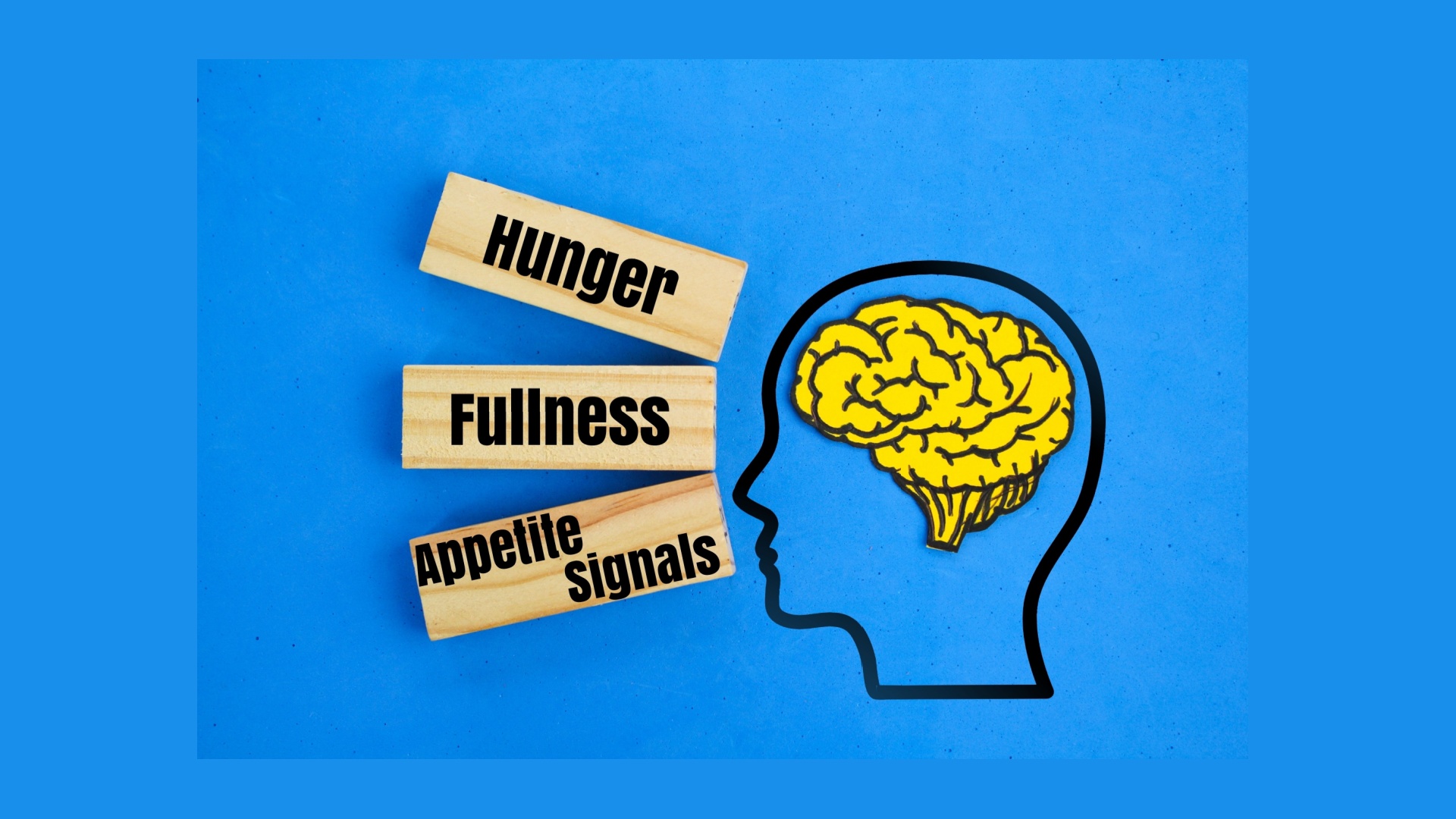 balancing hormones for appetite control
