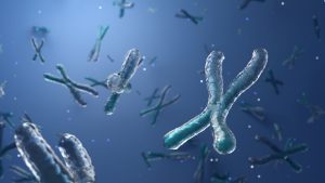 immuno-rejuvenation strategies
