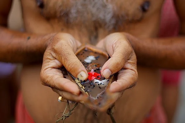 पितृ एवं मातृ प्रतिनिधि तर्पण - 1