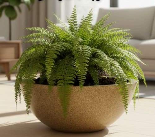 Fiber bowl planter