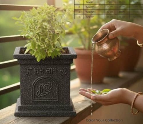 Tulsi traditional pot