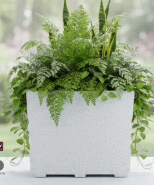 White stone planter