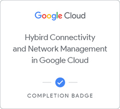 Hybrid Connectivity and Network Management