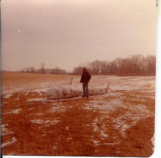 Me and the Snow Shark -1975
