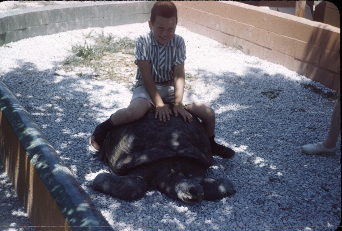 Me riding a turtle about 1966