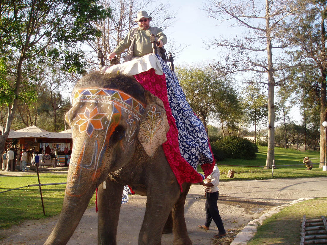 Me on elephant - India 2004