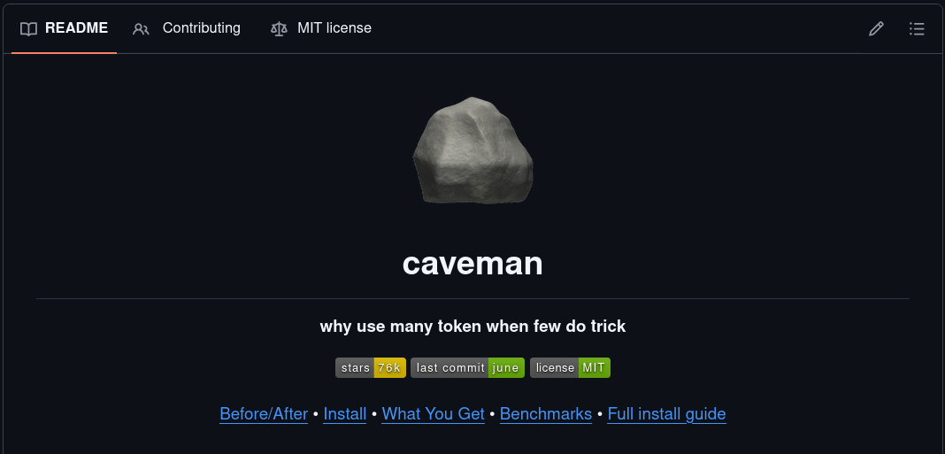 Repo caveman